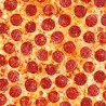 100% Cotton Digital Fabric Timeless Treasures Pepperoni & Cheese Pizza 112cm Wide