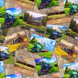 100% Cotton Digital Fabric...