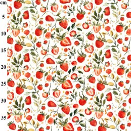 100% Cotton Poplin Fabric...