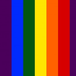 Polycotton Fabric Rainbow...