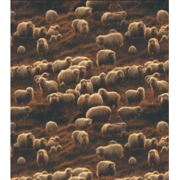 E Studio Digital Cotton...