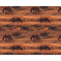 100% Digital Cotton Fabric...