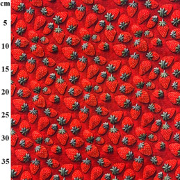 100% Cotton Poplin Fabric...