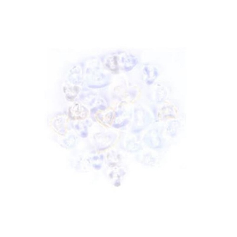 1.5g Pack Love Heart Acrylic Plastic Transparent Craft Buttons 