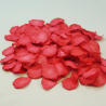 200 Biodegradable Paper Rose Petals Confetti Wedding