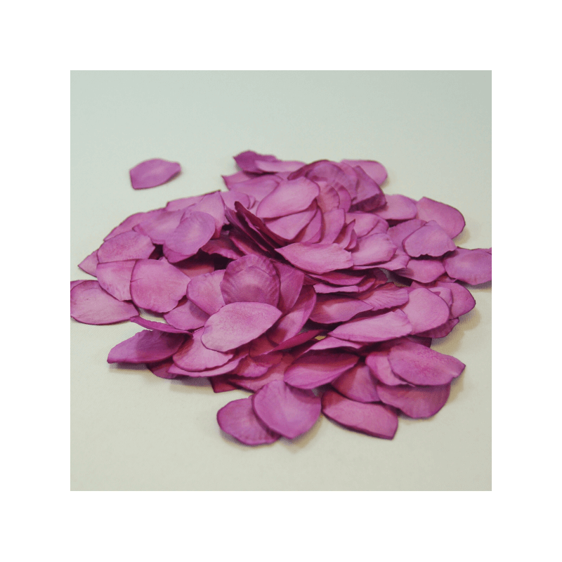 200 Biodegradable Paper Bridal Rose Petals Craft  