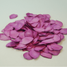 200 Biodegradable Paper Rose Petals Confetti Wedding