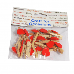 20 x Natural Wood 25mm Craft Pegs Embellishments