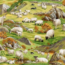 89310 104 Country Sheep