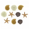 Dress It Up Novelty Button & Embellishments Collection Shapes & Flowers Craft