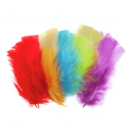 Mixed Coloured Trimits Feathers 100 Small 