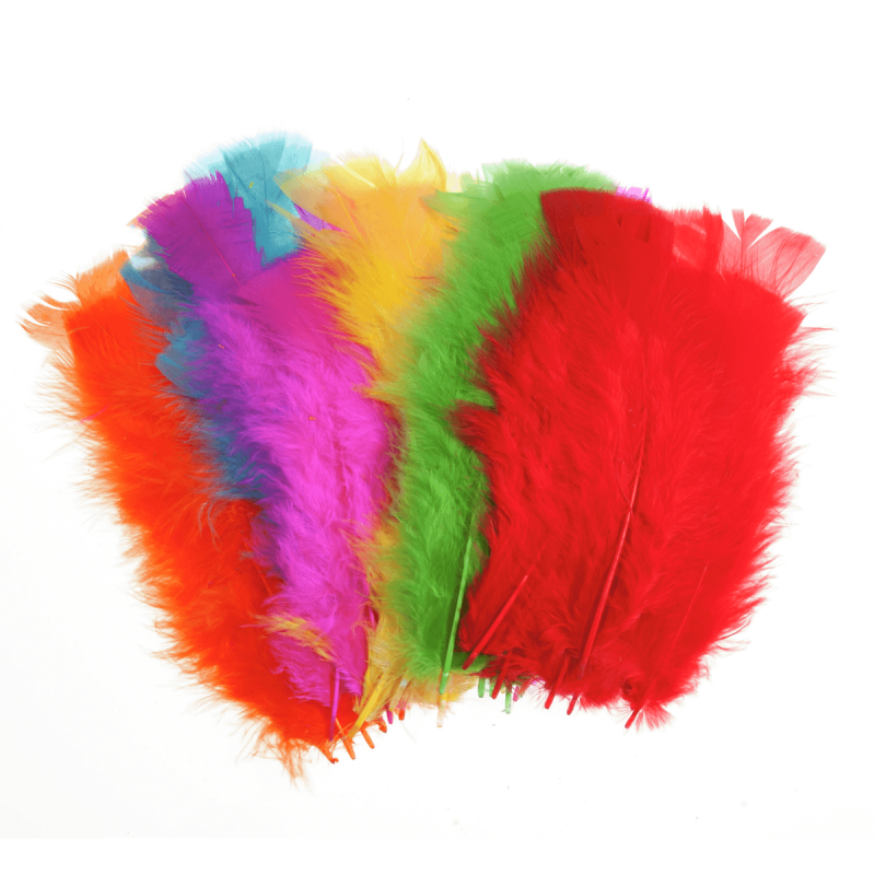 Mixed Coloured Trimits Feathers 50 Large