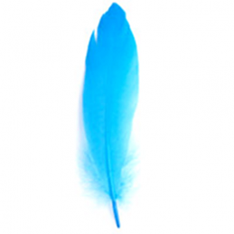 Turquoise 12 x Goose Feathers Multi Coloured Decoration Costume Craft Projects