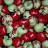 100% Cotton Fabric Nutex Juicy Shiny Fruity Apples Food