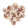 15 x Assorted Nutty Squirrel Wooden Craft Buttons 18mm - 25mm