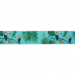 1 Metre x 25mm Tropical Toucan Bird Polyester Grosgrain Ribbon Craft Berisfords