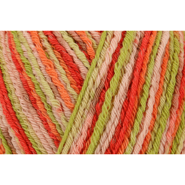 Regia Cotton Tutti Fruitti 4 PLY Knitting Crochet Knit Yarn Craft Wool 100g Ball 2426 Apple