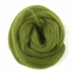 10g 100% Natural Wool Roving Needle Spinning Felting Sewing Craft Fabric Trimits 312 Lime