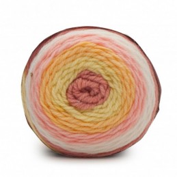 Rosebuds Caron Baby Cakes Aran Yarn 100g Ball