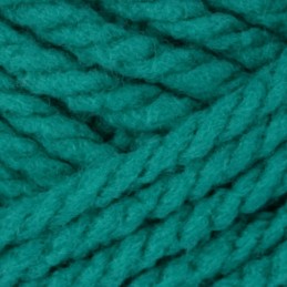 Emerald Bernat Softee Super Chunky Solid Yarn Acrylic Knit Knitting Crochet Crafts 100g Ball