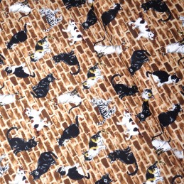 Brown 100% Japanese Cotton Fabric Sevenberry Kitty Cats Kittens Brick Wall Pet Animal