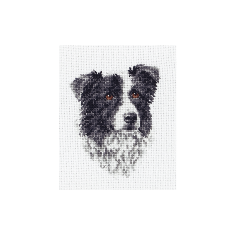 Anchor Counted Cross Stitch Kit Black Labrador or Border Collie Dog