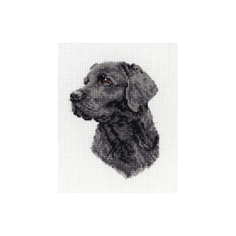 Black Labrador Anchor Counted Cross Stitch Kit Black Labrador or Border Collie Dog