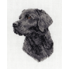 Anchor Counted Cross Stitch Kit Black Labrador or Border Collie Dog