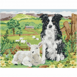 Anchor Needlepoint Tapestry Kit Border Collie Dog and Lamb Sheep