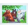 Collection dArt Three Horses Printed 14 Count Cotton Aida Canvas Cross Stitch