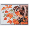 Collection dArt Owl Printed 14 Count Cotton Aida Canvas Cross Stitch