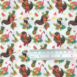 Hawaiian Girl Toucan Scale