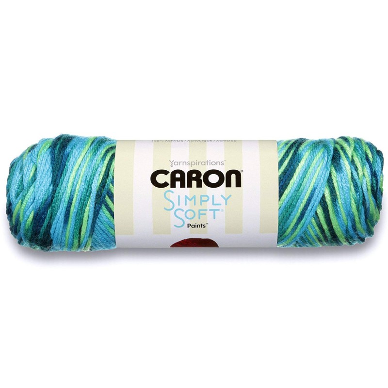 Caron Simply Soft Paints Aran Yarn Knitting Crochet ...
