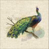 Cotton Rich Linen Look Fabric Digital Majestic Peacock Bird Upholstery Panel